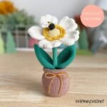 images (11)